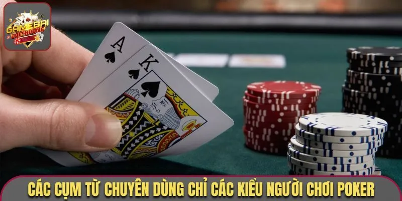 Thuật Ngữ Poker - Tổng Hợp Đầy Đủ Các Từ Ngữ Hay Dùng Nhất 2 Các cụm từ chuyên dùng chỉ các kiểu người chơi Poker