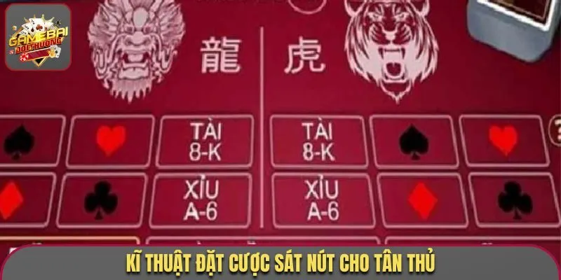 Kỹ thuật đặt cược sát nút cho tân thủ